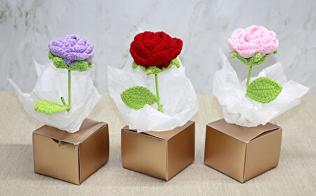 Kutulu Tekli Gül Kutulu (El Örgüsü)