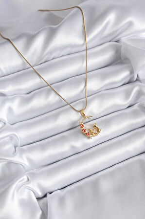  316L Çelik Gold Renk Hilal Kedi Model Zirkon Taşlı Detay Kadın Kolye