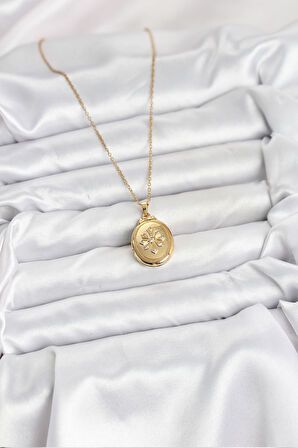  316L Çelik Zincir Gold Renk Kapaklı Açılabilir Model Kadın Kolye