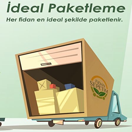 10 Adet Badem Fidanı Paketi