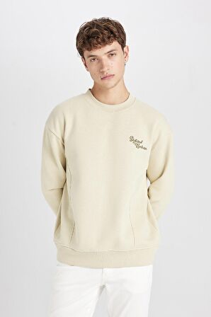 DeFacto Boxy Fit Bisiklet Yaka Sırt Baskılı Sweatshirt C7051AX24AUBG796
