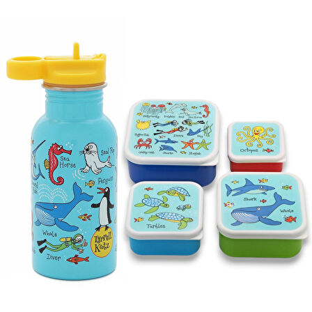 Çelik Matara 400ml  / 4 lü Beslenme Kutusu OCEAN LIFE