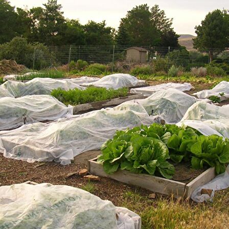 3,2x5 METRE 17gr AGRİL ISI DON ÖRTÜSÜ, ZİRAİ DON KIRAĞI ÖRTÜ KARPUZ ÇİLEK ÖRTÜSÜ, SERA TOPRAK ÖRTÜSÜ ELYAF BİTKİ KORUMA ÖRTÜSÜ