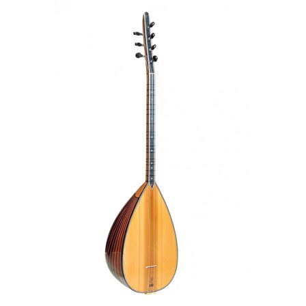 SAZ 110B-AR Yaprak Saz Ardıç Kanada Kapak