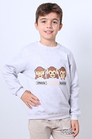 ERKEK ÇOCUK ŞARDONLU SWEAT KARAKTER BASKILI RİBANALI E34