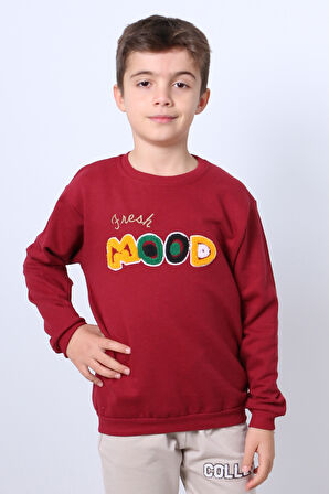 ERKEK ÇOCUK ŞARDONLU SWEAT MOOD NAKIŞ DETAYLI RİBANALI E35