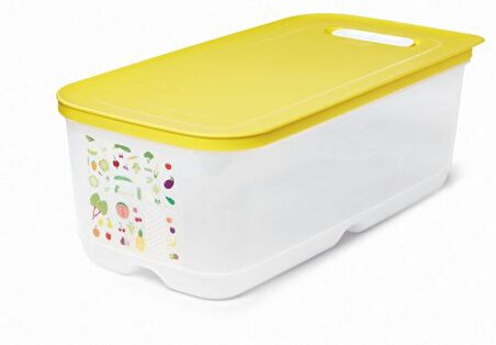 TUPPERWARE SERA 6.1 LT