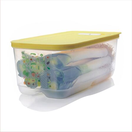 TUPPERWARE SERA 6.1 LT