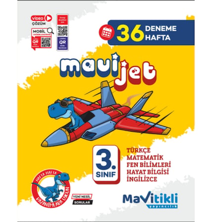 3.SINIF MAVİJET