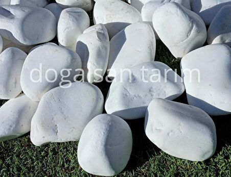 Dolomit Taş 5 Kg 4-6 Cm Beyaz Dolomit Bahçe Taşı Çakıl Taş