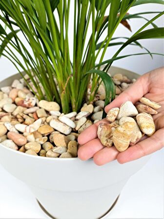 Sarı Çizgili Dolomit Taşı 20 Kg 1-2 Cm Renkli Dolomit Dekoratif Taş
