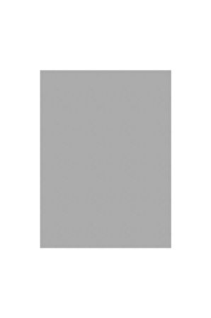 Gri Fon Kartonu 10 Adet (50X70) - (120 gram )