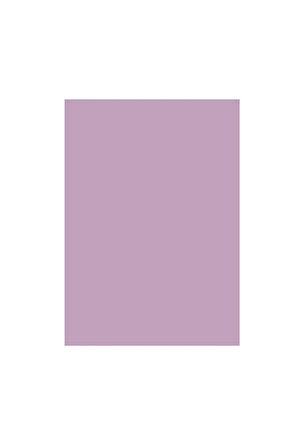 Lila Fon Kartonu 10 Adet (50X70) - (120 gram )
