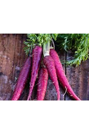 100 Adet Tohum Esvet Mor Havuç Şalgam Tohumu Süpriz Hediye Tohum Siyah Havuç Şalgamlık Havuç Tohum