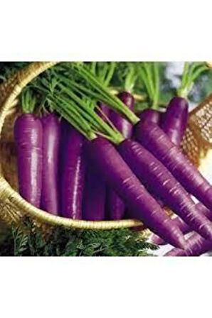 100 Adet Tohum Esvet Mor Havuç Şalgam Tohumu Süpriz Hediye Tohum Siyah Havuç Şalgamlık Havuç Tohum