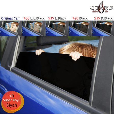 Guard GT-100 1 Ply Çizilmez 100 cm x 60 Mt %05 S.D.Black Cam Filmi
