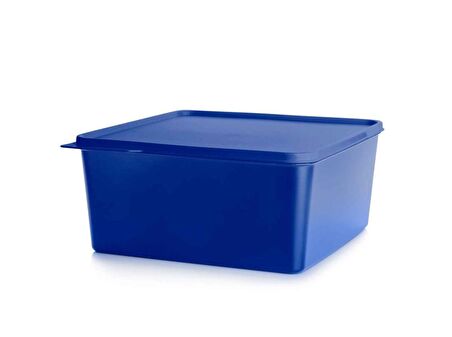 TUPPERWARE DİKDÖRTGEN SAKLAMA KABI 5 PARÇA