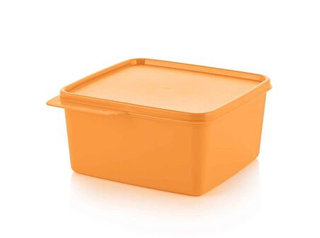 TUPPERWARE DİKDÖRTGEN SAKLAMA KABI 5 PARÇA