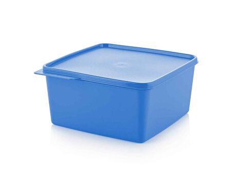 TUPPERWARE DİKDÖRTGEN SAKLAMA KABI 5 PARÇA