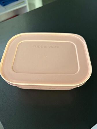 Tupperware Alaska Derin Dondurucu Saklama Kabı 450 ml