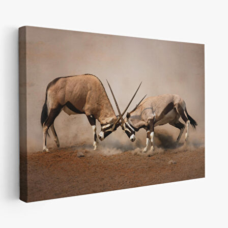 Harita Sepeti Antilob Dekoratif Kanvas Tablo-1117