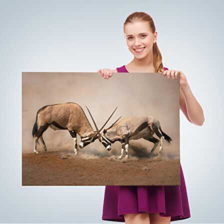 Harita Sepeti Antilob Dekoratif Kanvas Tablo-1117