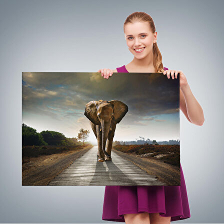 Harita Sepeti Fil Dekoratif Kanvas Tablo 1118