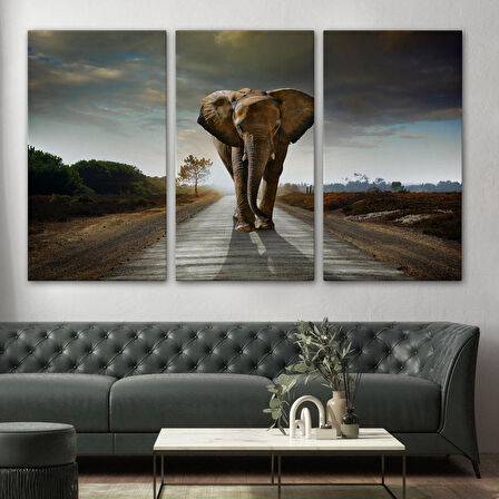 Harita Sepeti Fil Dekoratif Kanvas Tablo 1118