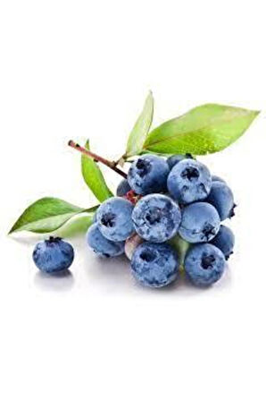 10 Adet Yaban Mersini Tohumu Blueberry Tohumu