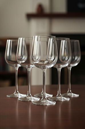 Casual Ayaklı Bardak 225 CC 6 Adet