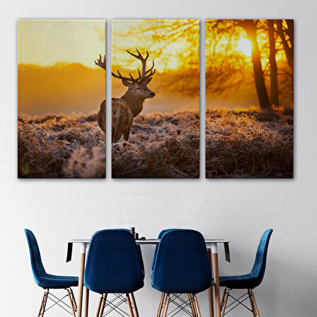 Harita Sepeti Geyik Gün Batımı Dekoratif Kanvas Tablo 1120