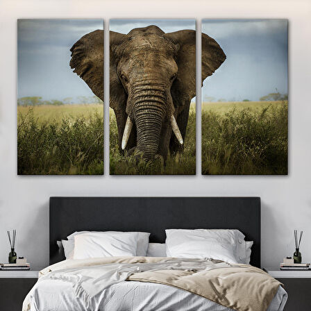 Harita Sepeti Fil Dekoratif Kanvas Tablo 1121