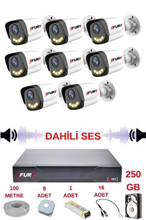 FURY 8 li Sesli Gece Renkli Görüş Güvenlik Kamerası Su Geçirmez Güvenlik Kamerası Seti 5590s 250GB