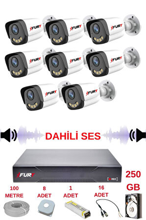 FURY 8 li Sesli Gece Renkli Görüş Güvenlik Kamerası Su Geçirmez Güvenlik Kamerası Seti 5590s 250GB