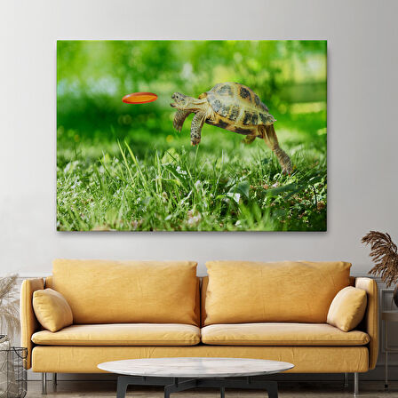 Harita Sepeti Uçan Kaplunbağa Dekoratif Kanvas Tablo 1122