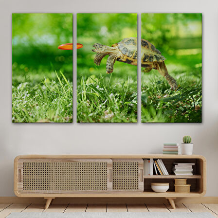 Harita Sepeti Uçan Kaplunbağa Dekoratif Kanvas Tablo 1122