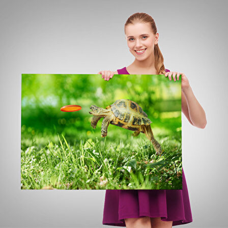 Harita Sepeti Uçan Kaplunbağa Dekoratif Kanvas Tablo 1122