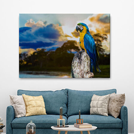 Harita Sepeti Papağan Dekoratif Kanvas Tablo 1123