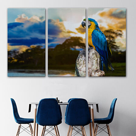 Harita Sepeti Papağan Dekoratif Kanvas Tablo 1123