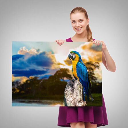 Harita Sepeti Papağan Dekoratif Kanvas Tablo 1123