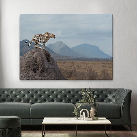 Harita Sepeti Leopar Dekoratif Kanvas Tablo -1127