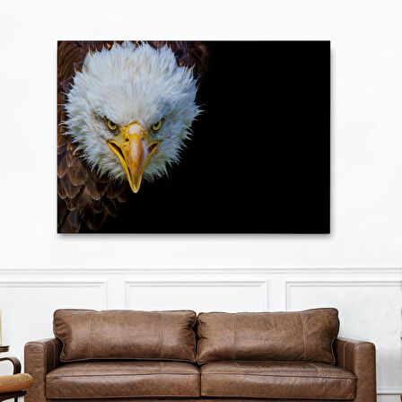 Harita Sepeti Kartal Dekoratif Kanvas Tablo 1132