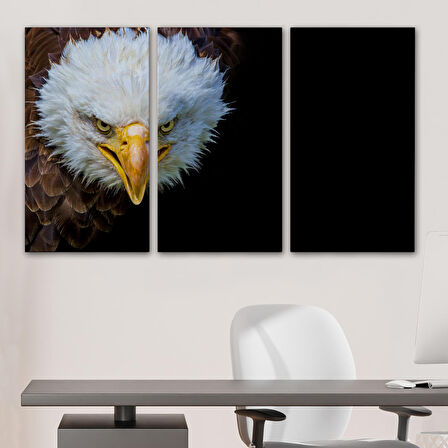 Harita Sepeti Kartal Dekoratif Kanvas Tablo 1132