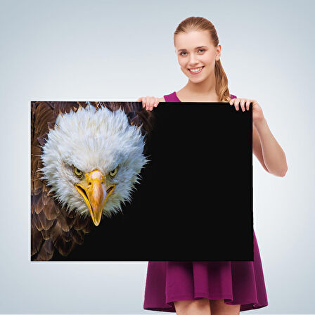 Harita Sepeti Kartal Dekoratif Kanvas Tablo 1132