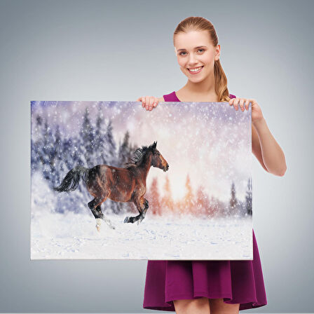 Harita Sepeti Karda Koşan At Dekoratif Kanvas Tablo 1133