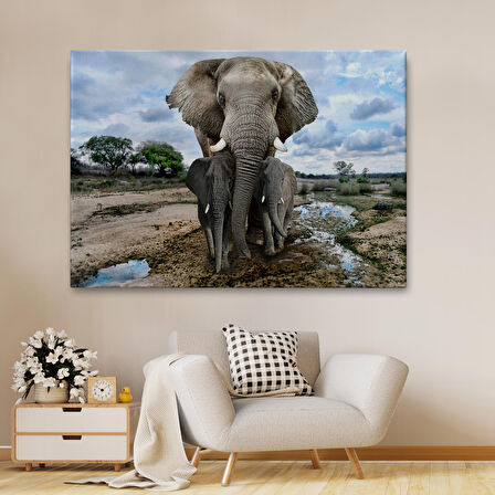 Harita Sepeti Fil ve Yavruları Dekoratif Kanvas Tablo 1134