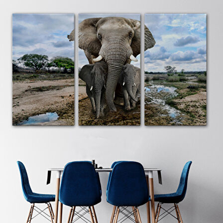 Harita Sepeti Fil ve Yavruları Dekoratif Kanvas Tablo 1134