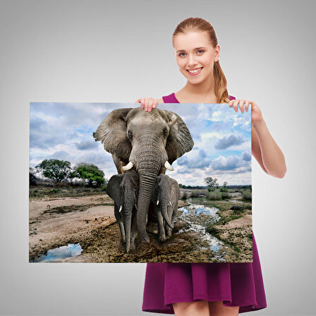 Harita Sepeti Fil ve Yavruları Dekoratif Kanvas Tablo 1134