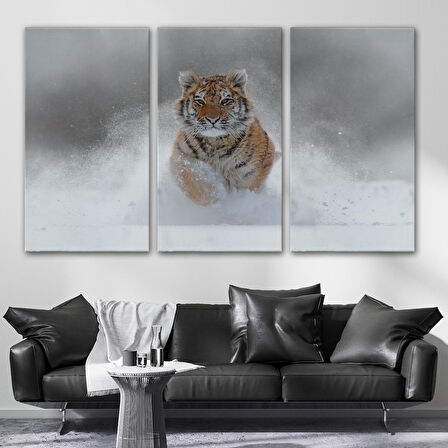 Harita Sepeti Karda Koşan Yavru Kaplan Dekoratif Kanvas Tablo 1135