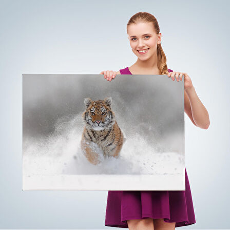 Harita Sepeti Karda Koşan Yavru Kaplan Dekoratif Kanvas Tablo 1135